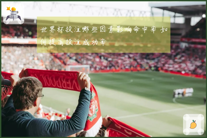 世界杯投注哪些因素影响命中率 如何提高投注成功率