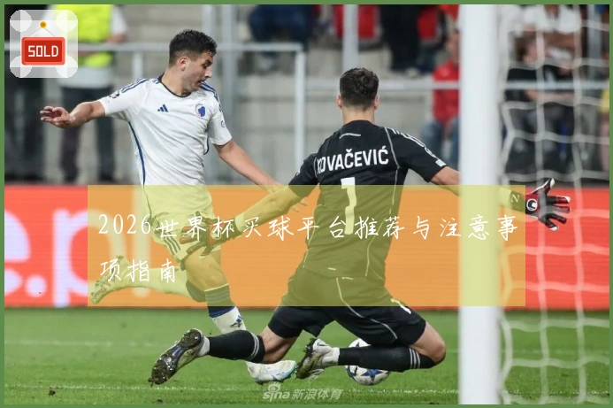 2026世界杯买球平台推荐与注意事项指南