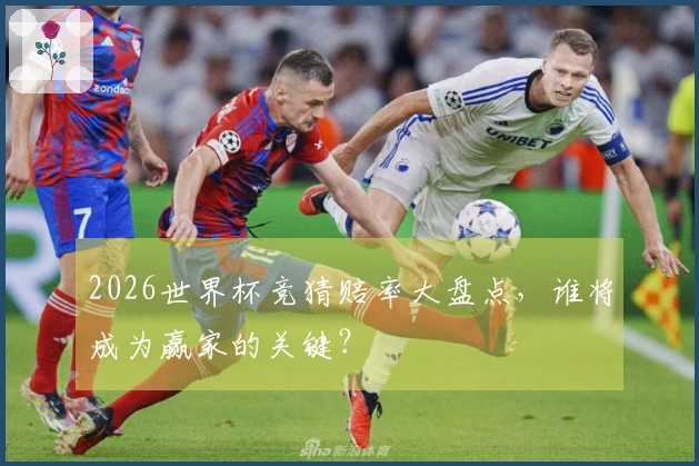 2026世界杯竞猜赔率大盘点，谁将成为赢家的关键？