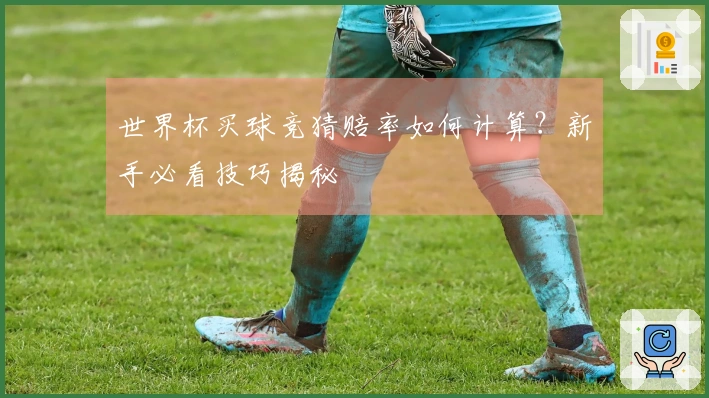 世界杯买球竞猜赔率如何计算？新手必看技巧揭秘
