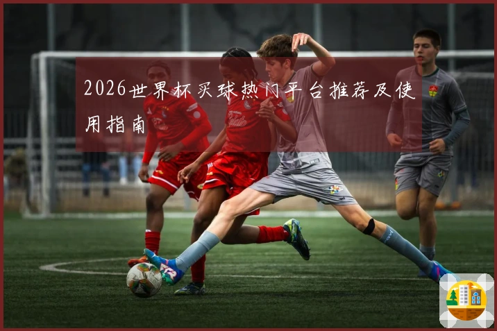 2026世界杯买球热门平台推荐及使用指南