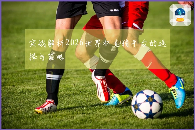 实战解析2026世界杯竞猜平台的选择与策略