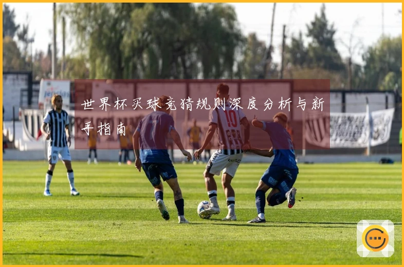 世界杯买球竞猜规则深度分析与新手指南